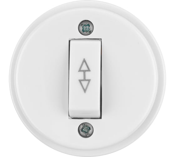 Переключатель на 2 направления 1-клавишный TDM ELECTRIC открытой установки IP20 10А белый "Ретро" SQ1806-0506
