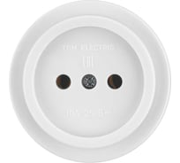 Розетка 2П открытой установки TDM ELECTRIC IP20 10А белая "Ретро" SQ1806-0525