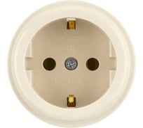 Розетка 2П+З открытой установки TDM ELECTRIC IP20 16А слоновая кость "Ретро" SQ1806-0528