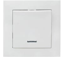 1-клавишный выключатель EKF Валенсия, 10А белый с индикатором PROxima EWV10-121-10