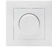 Светорегулятор EKF Валенсия, 600W 220В белый PROxima EWD06-101-10