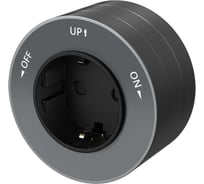 Розетка Systeme Electric MuitiTrack 2К+З, круглая, 16А/250В, Графит MTK13001G