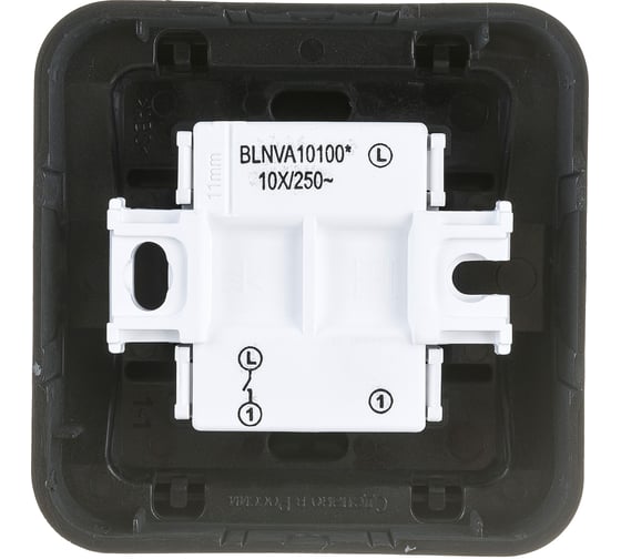 1-клавишный выключатель Systeme Electric BLANCA, О/У сх.1, 10А, 250B, АНТРАЦИТ BLNVA101006