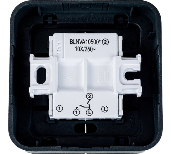 2-клавишный выключатель Systeme Electric BLANCA, открытой установки, 10А, 250B, антрацит BLNVA105006