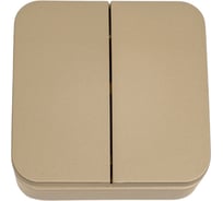 2-клавишный выключатель Systeme Electric BLANCA, открытой установки, 10А, 250B, ТИТАН BLNVA105014