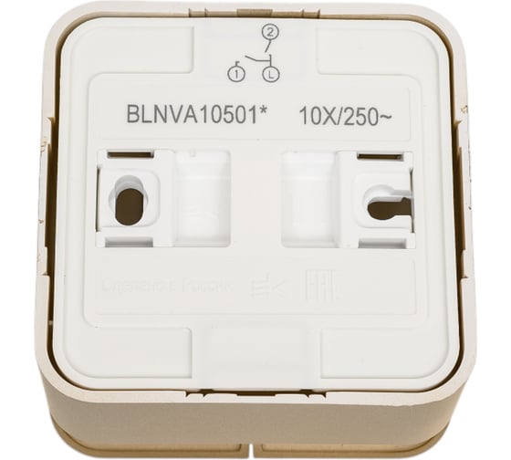 2-клавишный выключатель Systeme Electric BLANCA, открытой установки, 10А, 250B, ТИТАН BLNVA105014