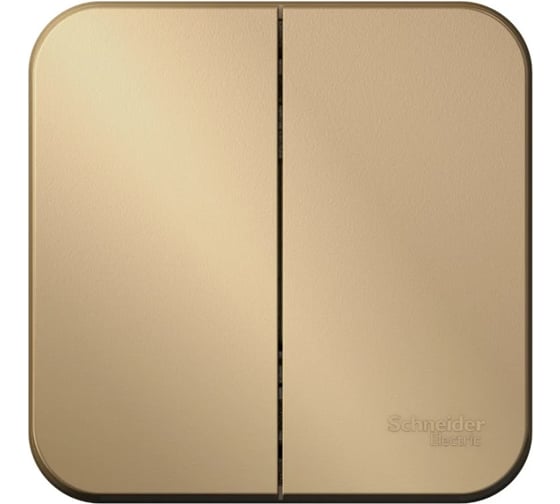 2-клавишный выключатель Systeme Electric BLANCA, открытой установки, 10А, 250B, ТИТАН BLNVA105014