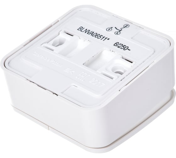 2-клавишный выключатель Systeme Electric BLANCA, открытой установки, с подсветкой, 6А, 250B, молочный BLNVA065112