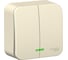 2-клавишный выключатель Systeme Electric BLANCA, открытой установки, с подсветкой, 6А, 250B, молочный BLNVA065112 2