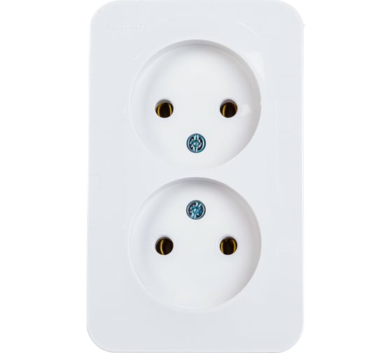 Двойная розетка Systeme Electric BLANCA О/У без заземления, без шторок, БЕЛЫЙ BLNRA000211