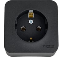 Розетка Systeme Electric BLANCA, открытой установки, с заземлением, без шторок, антрацит BLNRA010106