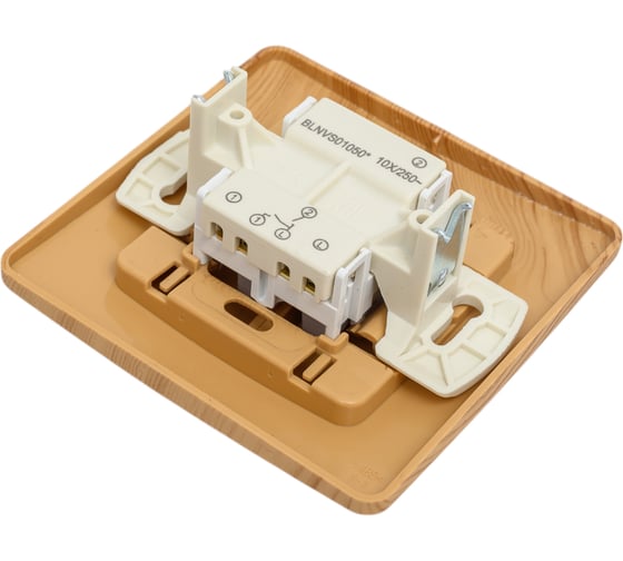 2-клавишный выключатель Systeme Electric BLANCA, скрытой установки, 10А, 250B, ясень BLNVS010505
