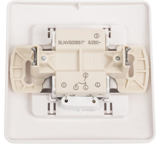 2-клавишный выключатель Systeme Electric BLANCA, скрытой установки, с подсветкой, 6А, 250В, белый BLNVS006511
