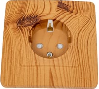 Розетка Systeme Electric BLANCA, скрытой установки, с заземлением, со шторками, ясень BLNRS001115