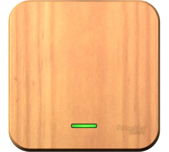 1-клавишный выключатель с подсветкой Systeme Electric BLANCA открытой установки, 10А, 250B, ясень BLNVA101105 1