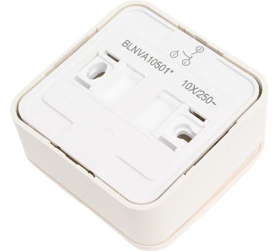 2-клавишный выключатель Systeme Electric BLANCA открытой установки, 10А, 250B, молочный BLNVA105012