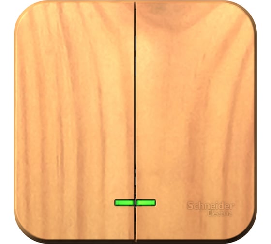 2-клавишный выключатель с подсветкой Systeme Electric BLANCA открытой установки, 10А, 250B, ясень BLNVA105115 1