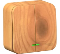 2-клавишный выключатель с подсветкой Systeme Electric BLANCA открытой установки, 10А, 250B, ясень BLNVA105105