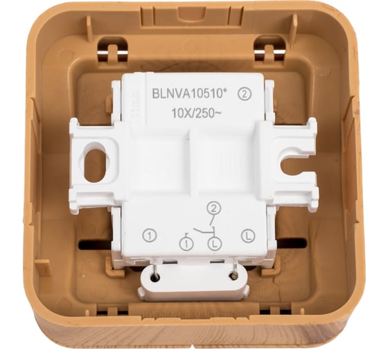 2-клавишный выключатель с подсветкой Systeme Electric BLANCA открытой установки, 10А, 250B, ясень BLNVA105105