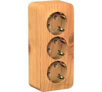 3-ая розетка Systeme Electric BLANCA открытой установки, с заземлением, без шторок, ясень BLNRA010315