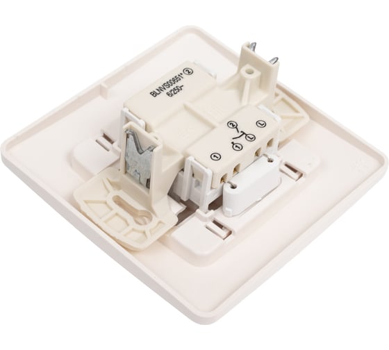 2-клавишный выключатель с подсветкой Systeme Electric BLANCA скрытой установки, 6А, 250B, молочный BLNVS006512