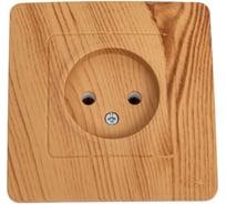 Розетка Systeme Electric BLANCA скрытой установки, без заземления, без шторок, ясень BLNRS000015