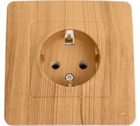 Розетка Systeme Electric BLANCA скрытой установки, с заземлением, без шторок, ясень BLNRS001015