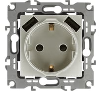 Розетка ЭРА 12410915 2PE, 16A/250В, шторки, с 2xUSB, 5В 3А, 12, перламутр, 10/100/2000 Б0047849