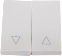 Клавиши ЭРА 12620315 для 121109, 121110, 141109, 141110, перламутр, Б0047859