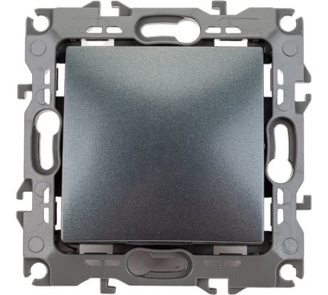 Кнопка ЭРА 12111112 10АХ250В, 12, графит, Б0047836