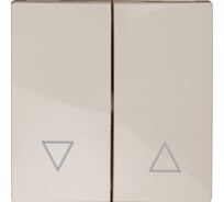 Клавиши ЭРА 12620302 для 121109, 121110, 141109, 141110, слоновая кость, Б0047851