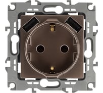 Розетка ЭРА 12410913 2PE, 16A/250В, шторки, с 2xUSB, 5В/3А, 12, бронза, 10/100/2000 Б0047847
