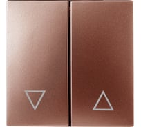 Клавиши ЭРА 12620314 для 121109, 121110, 141109, 141110, медь, Б0047858