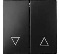 Клавиши ЭРА 12620305 для 121109, 121110, 141109, 141110, антрацит, Б0047854