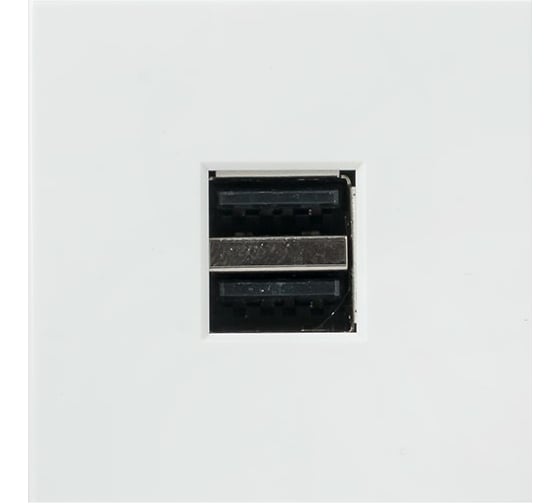 Розетка USB EKF сила тока 2.1А без индикатора E2MR2-20USB-10