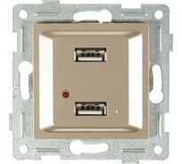 Механизм розетки GUSI ELECTRIC Ugra USB, двойной, СУ, шампань С11USB2-027