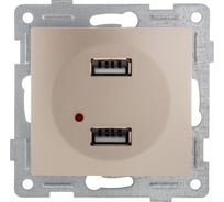 Механизм розетки GUSI ELECTRIC Bravo USB, двойной, СУ, шампань С10USB2-027