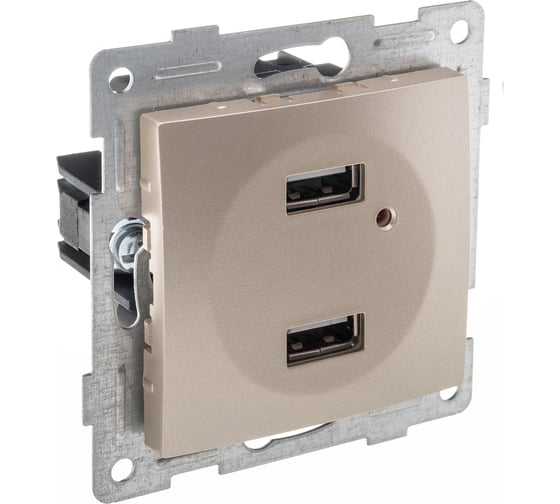 Механизм розетки GUSI ELECTRIC Bravo USB, двойной, СУ, шампань С10USB2-027