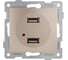Механизм розетки GUSI ELECTRIC Bravo USB, двойной, СУ, шампань С10USB2-027 1