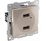 Механизм розетки GUSI ELECTRIC Bravo USB, двойной, СУ, шампань С10USB2-027 2