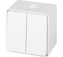 Переключатель ЭРА Эксперт 11150601 двойной IP55, 10АХ250В, ОУ, белый Б0063295