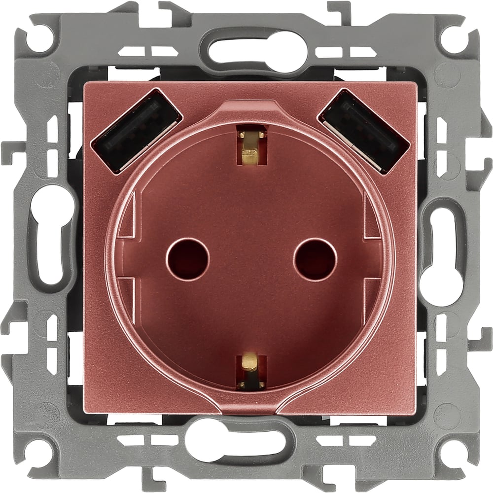 Розетка ЭРА 12410914 2PE 16A 250В, шторки, с 2xUSB 5В 3А, Эра12, медь ...