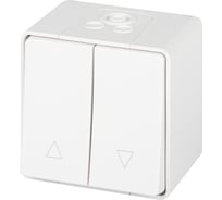 Переключатель ЭРА Эксперт 11-1508-01 для жалюзи кнопочный IP55, 10АХ250В, ОУ, белый Б0063251