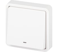 Выключатель ЭРА Эксперт 11152201 с подсветкой IP55, 10АХ250В, СУ, белый Б0063279