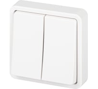 Выключатель Эксперт 11152401 двойной IP55, 10АХ250В, СУ, белый ЭРА Б0063271