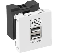 Розетка USB тип А двойная OBO Bettermann (1x2100 mA или 2x1050 mA) 1 модуль Modul45, 45x45 мм, белая 6105300