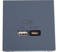USB Розетка A + тип-C Systeme Electric ArtGallery Грифель 45Вт высокоскоростная зарядка QC, PD, механизм GAL000729