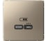 USB Розетка тип-С Systeme Electric ArtGallery Шампань 65Вт высокоскоростная зарядка QC, PD, механизм GAL000527 1