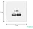 Розетка Systeme Electric ArtGallery Белый USB A + тип-C 45Вт высокоскор.заряд. QC, PD, механизм GAL000129 3