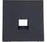 Накладка информационная типа Keystone Systeme Electric ArtGallery Базальт GAL001484 3